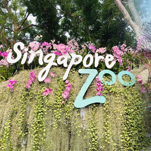 s_singapore.jpg
