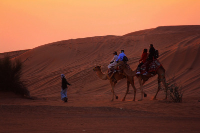 Delight of Dubai Tours 