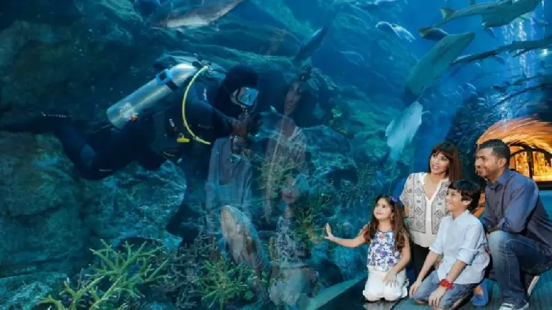 Dubai-Aquarium-1