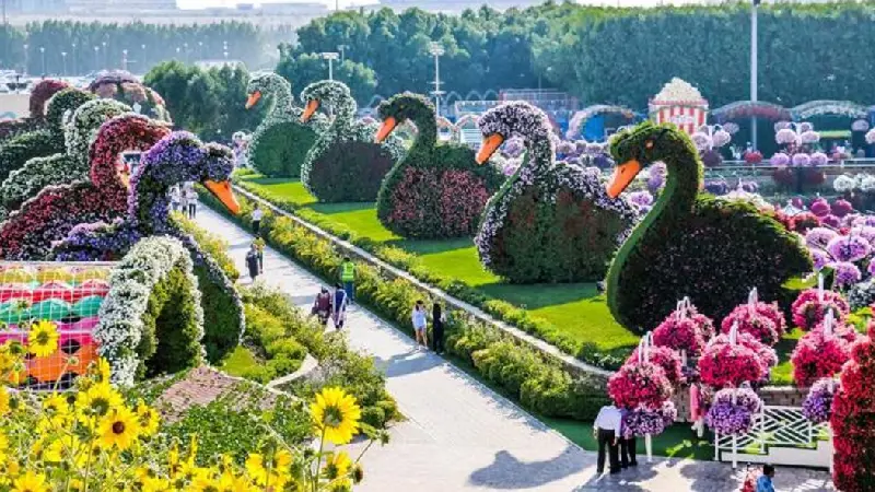 Dubai-Miracle-Garden